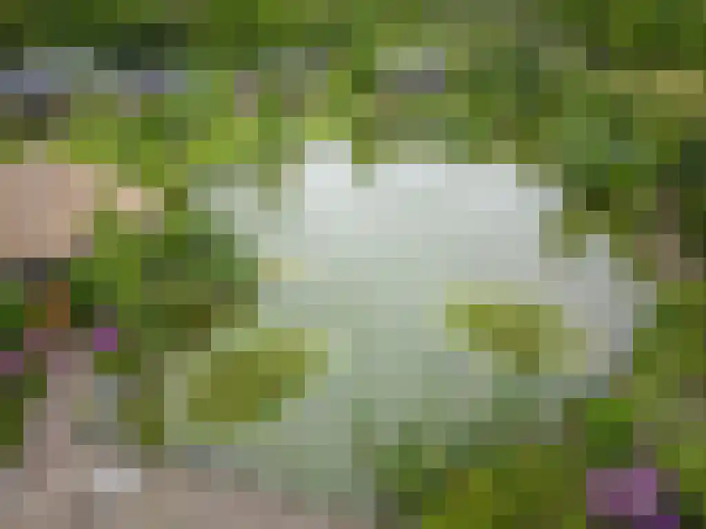 Beerseweg 5 Diessen thumbnail 20