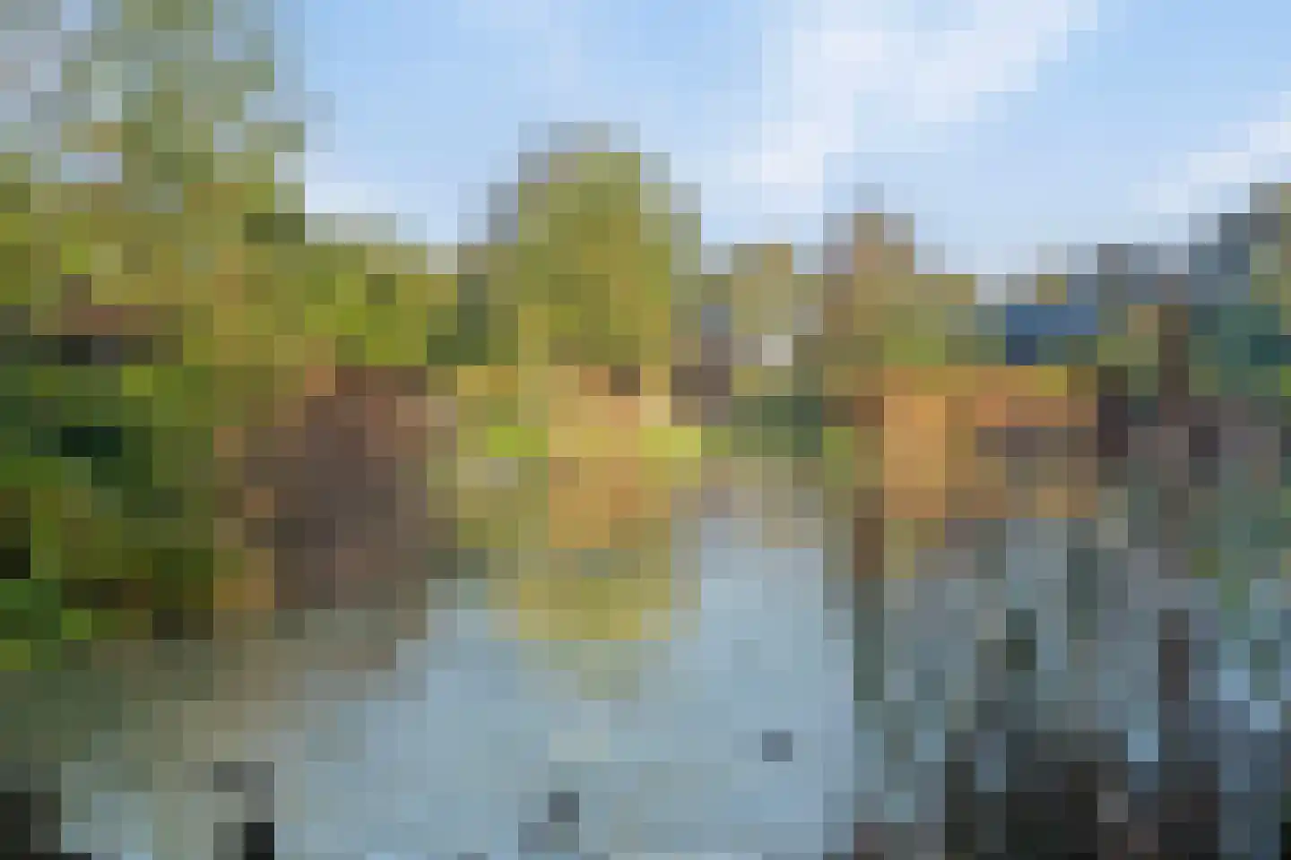Beerseweg 5 Diessen thumbnail 21