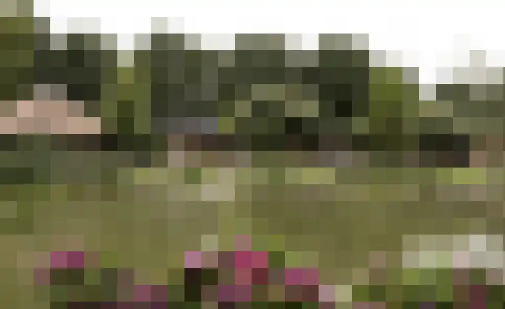 Beerseweg 5 Diessen thumbnail 21