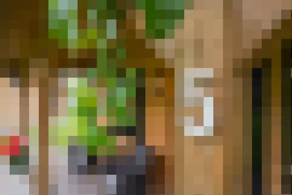 Beerseweg 5 Diessen thumbnail 23