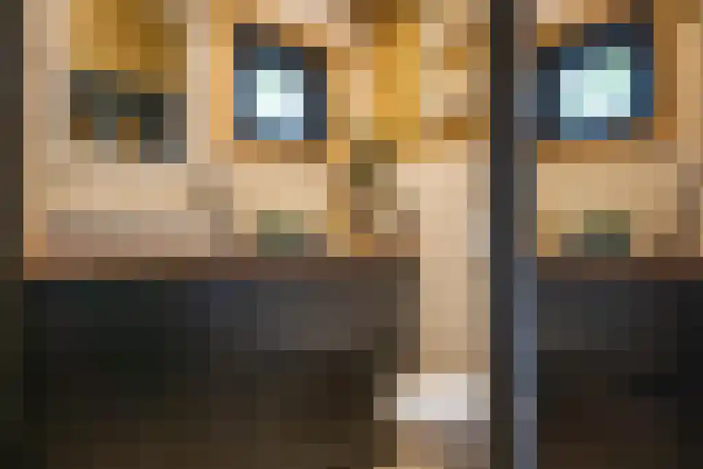 Beerseweg 5 Diessen thumbnail 25