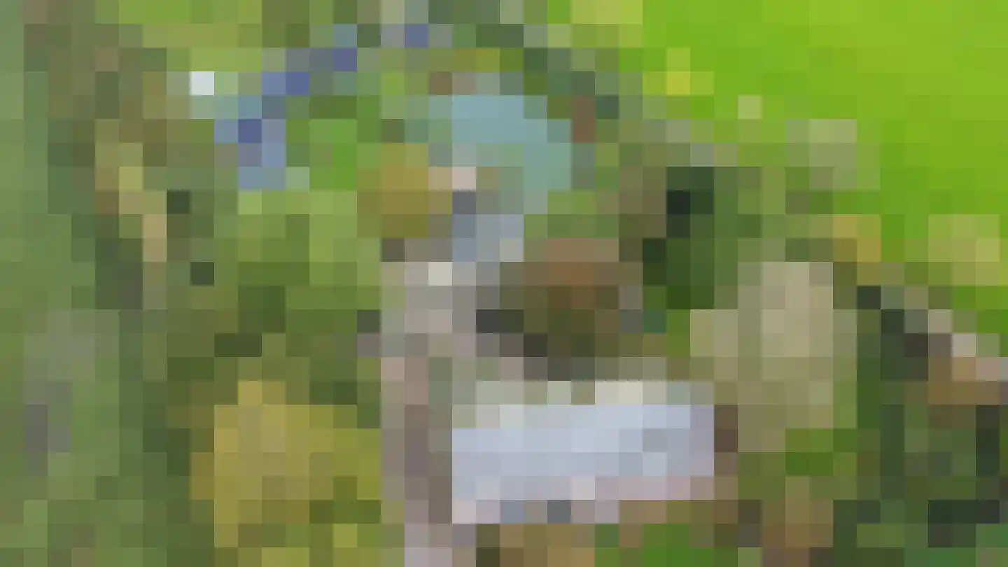 Beerseweg 5 Diessen thumbnail 27