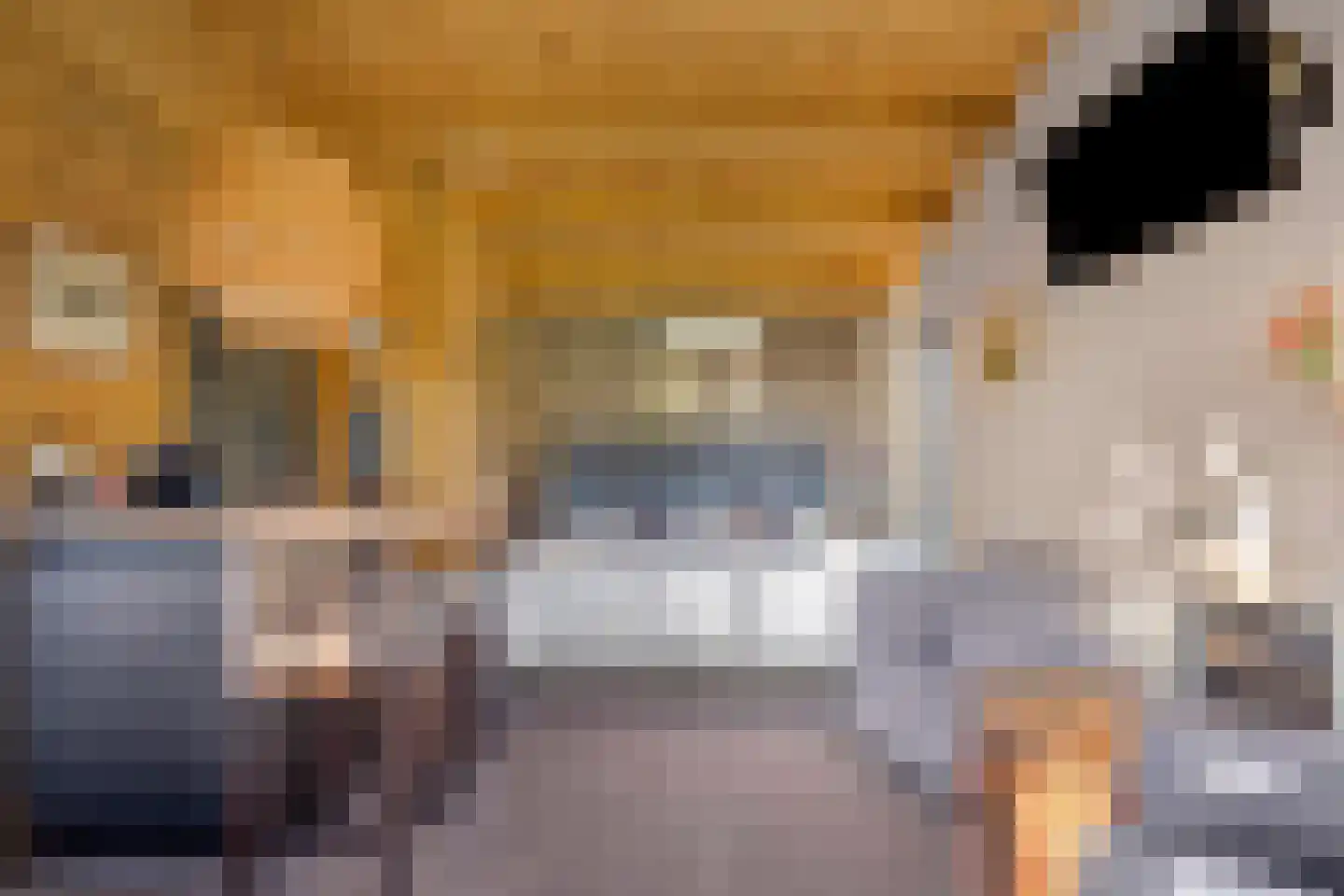 Beerseweg 5 Diessen thumbnail 30