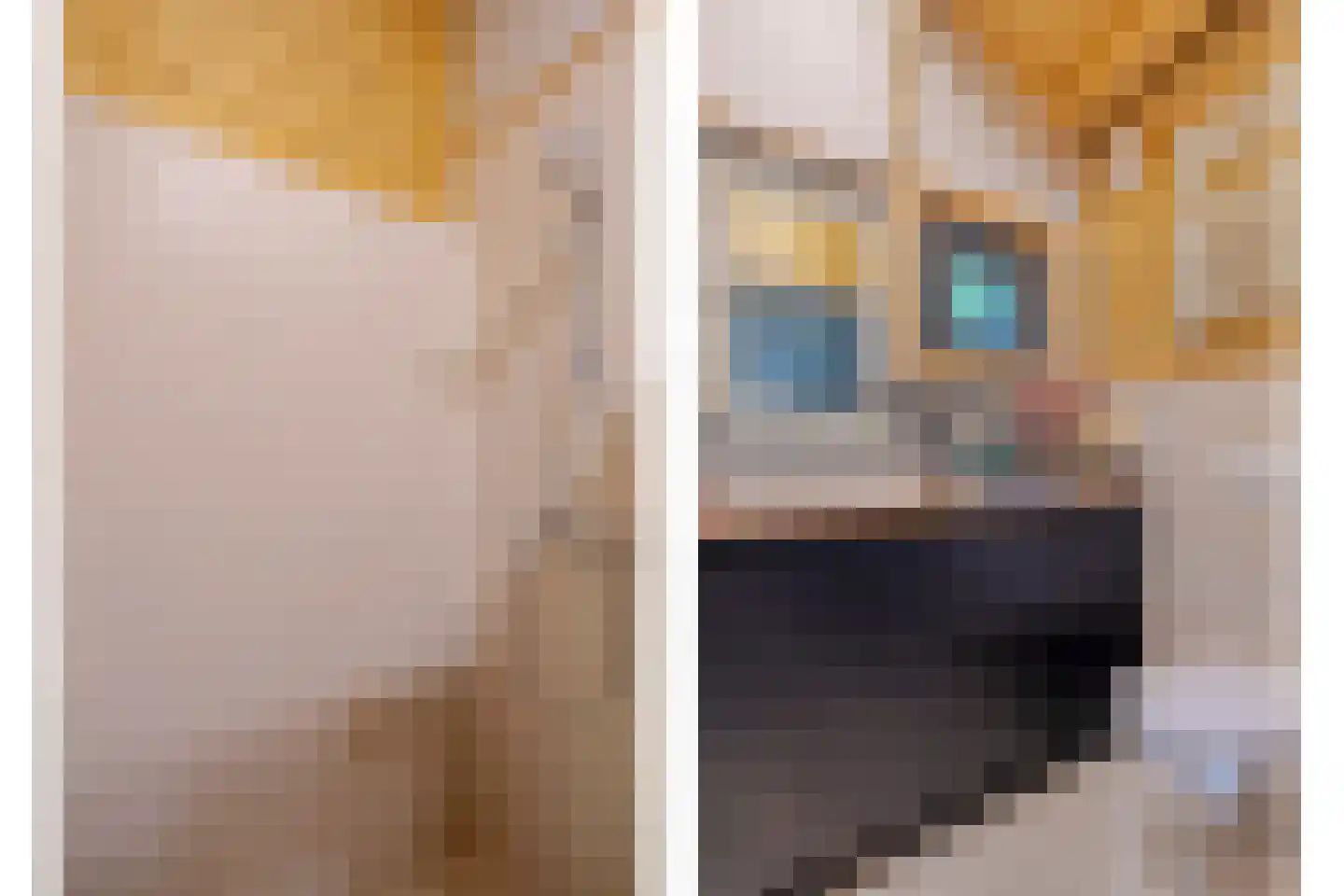Beerseweg 5 Diessen thumbnail 34