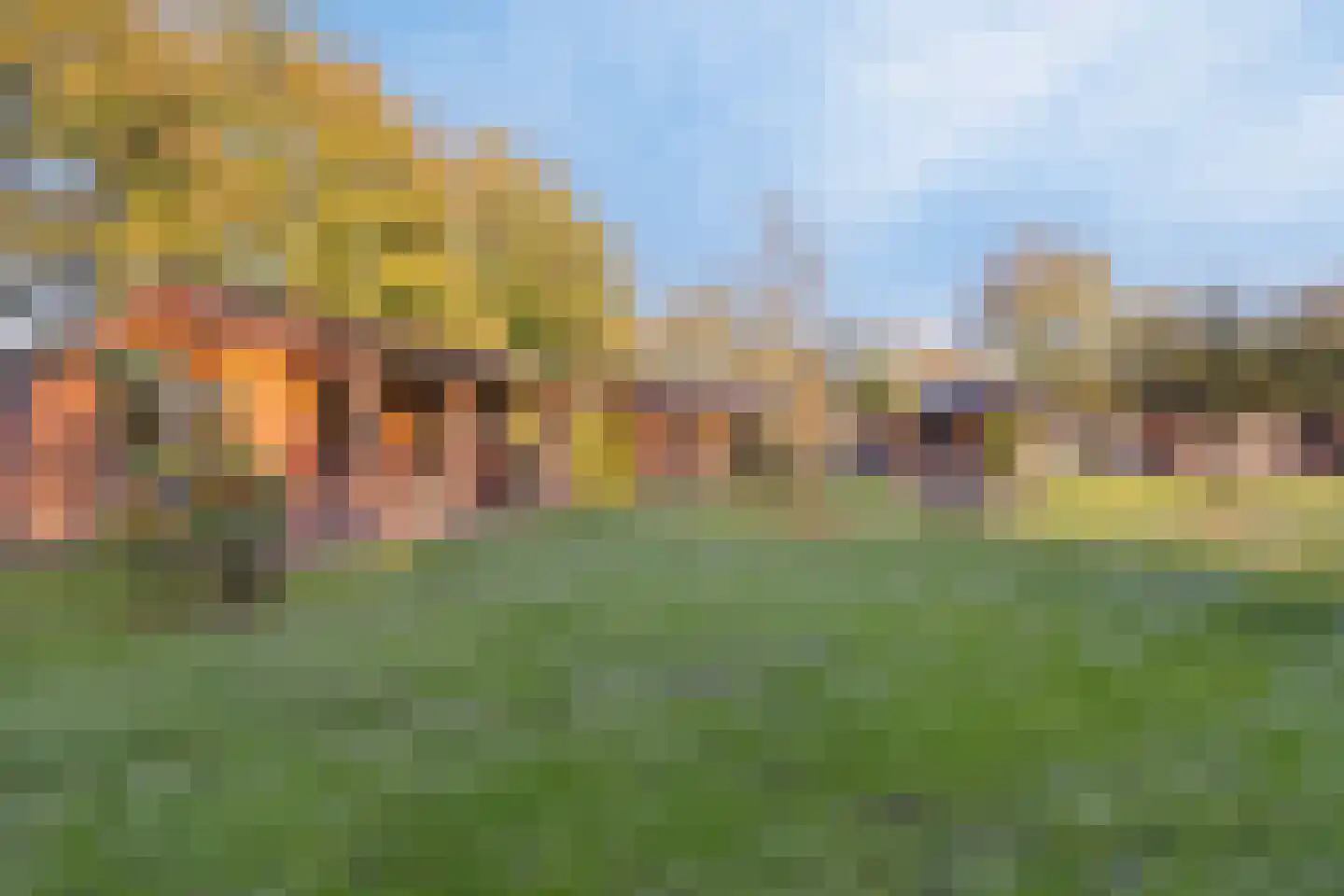 Beerseweg 5 Diessen thumbnail 36