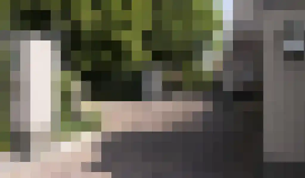 Beerseweg 5 Diessen thumbnail 4
