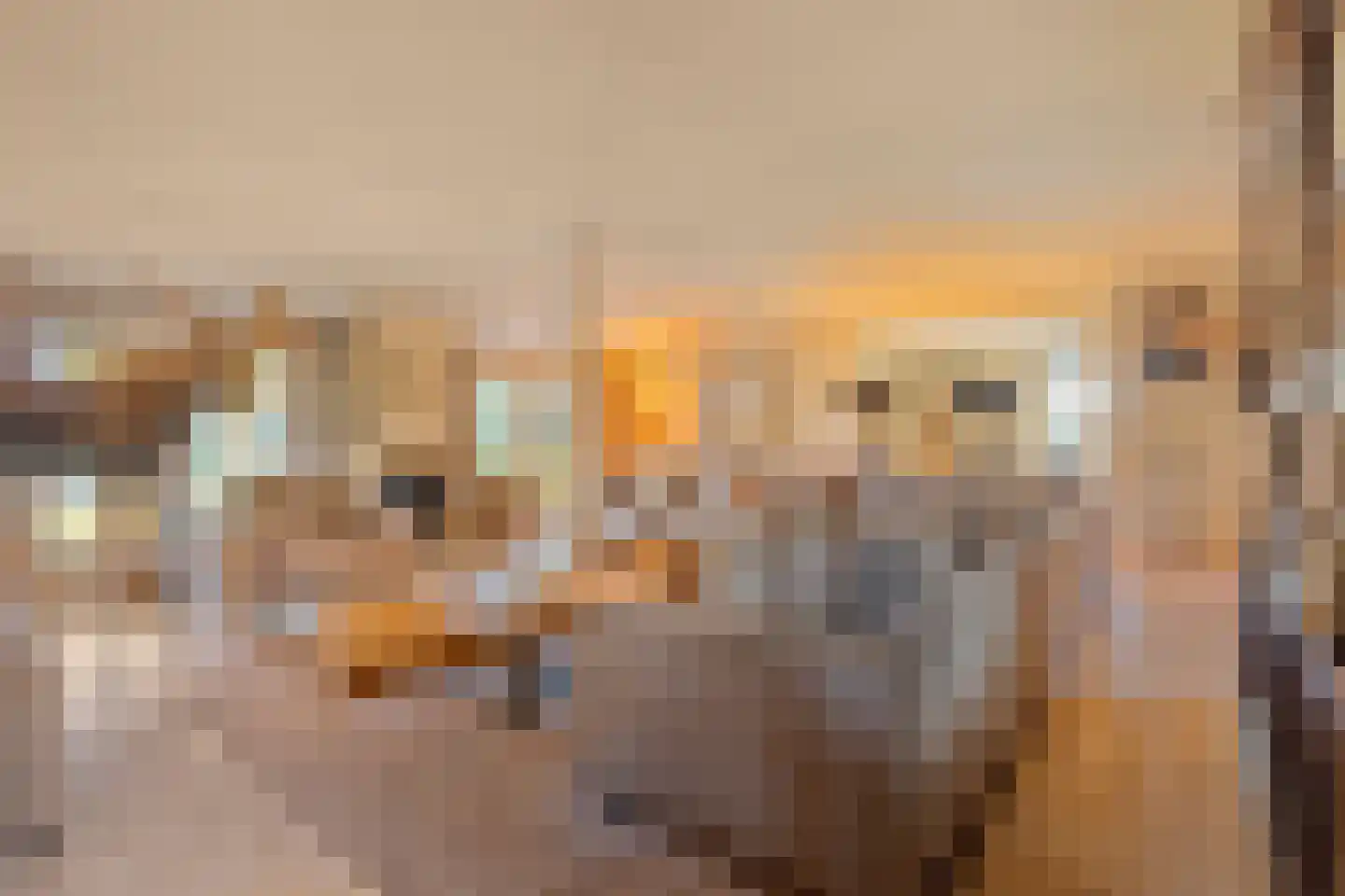 Beerseweg 5 Diessen thumbnail 4