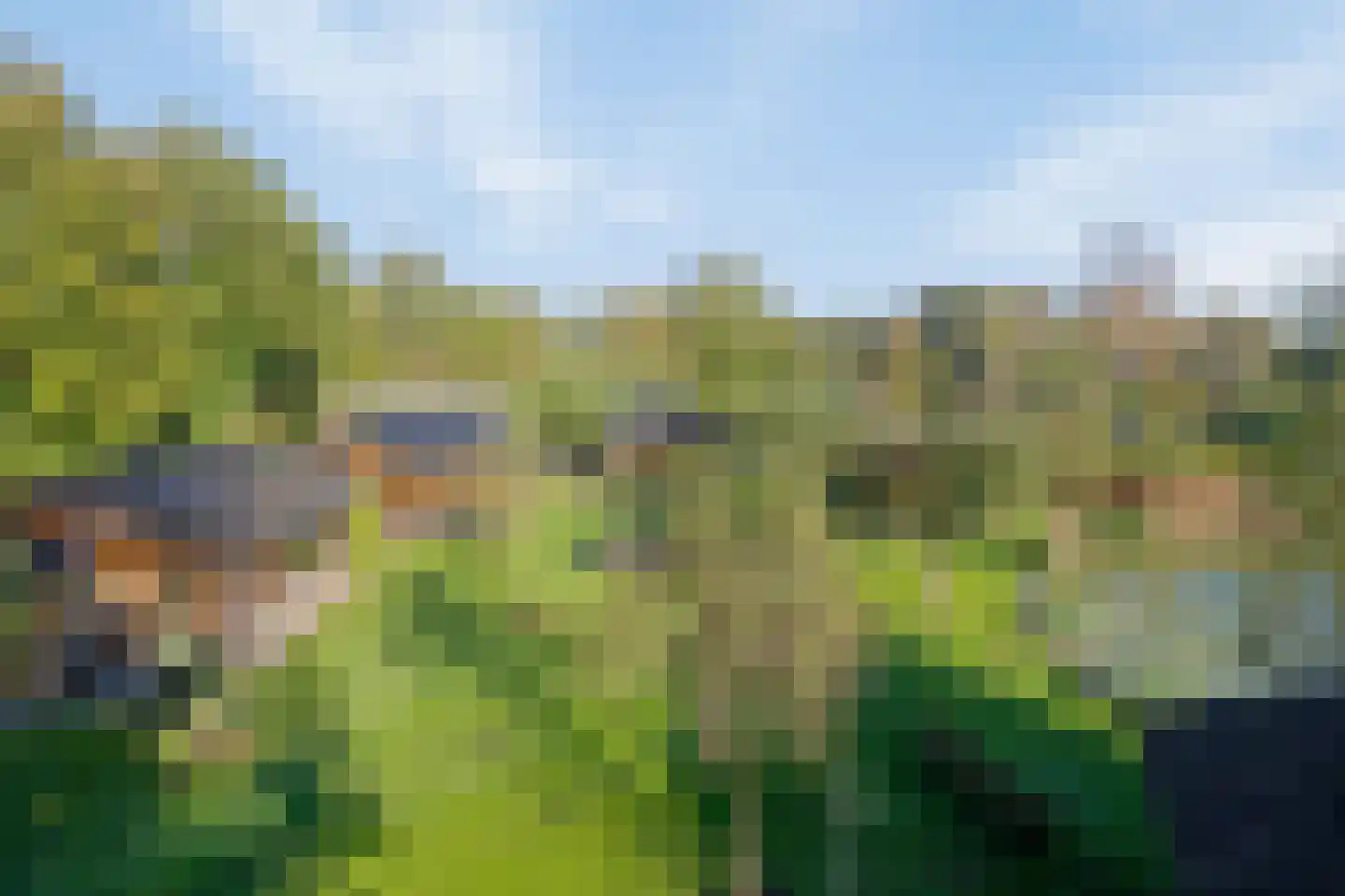 Beerseweg 5 Diessen thumbnail 40