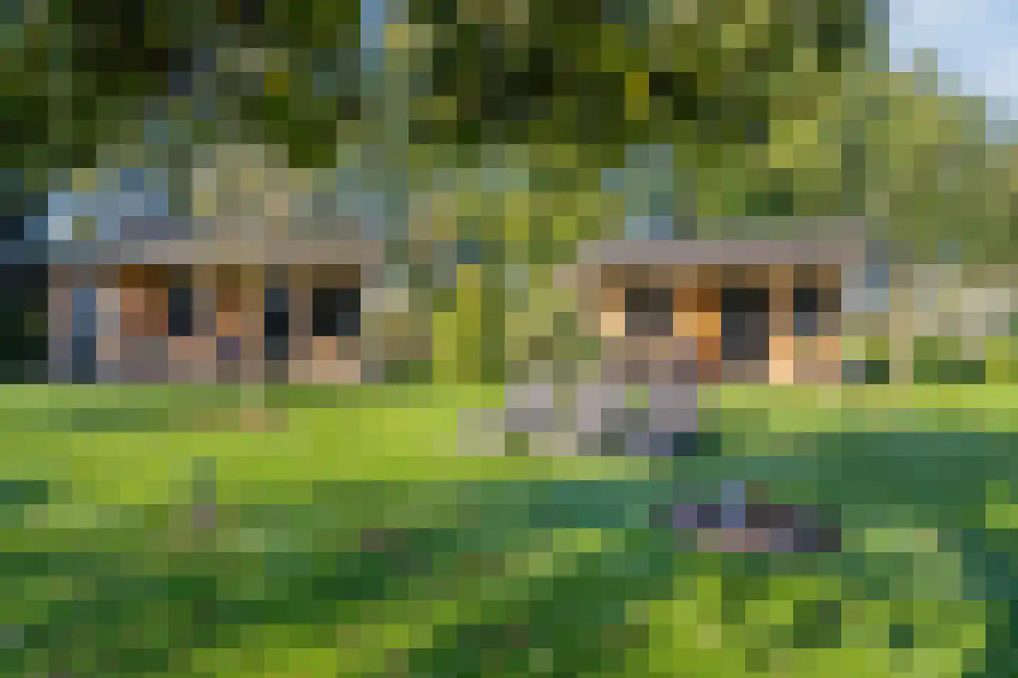 Beerseweg 5 Diessen thumbnail 42
