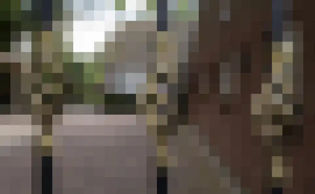 Beerseweg 5 Diessen thumbnail 5