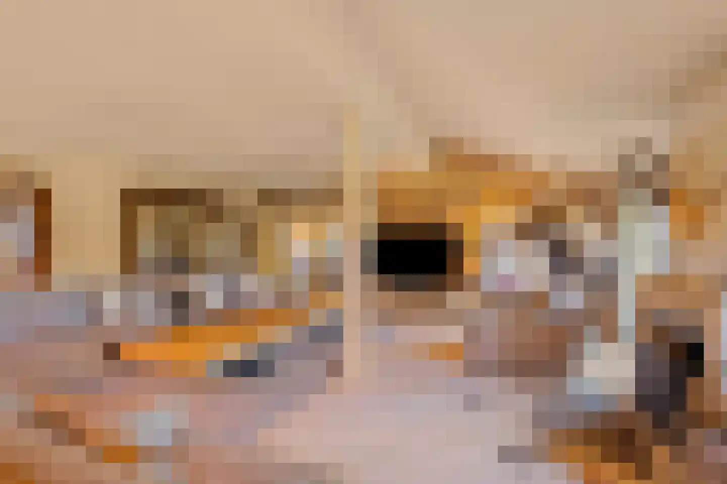 Beerseweg 5 Diessen thumbnail 5