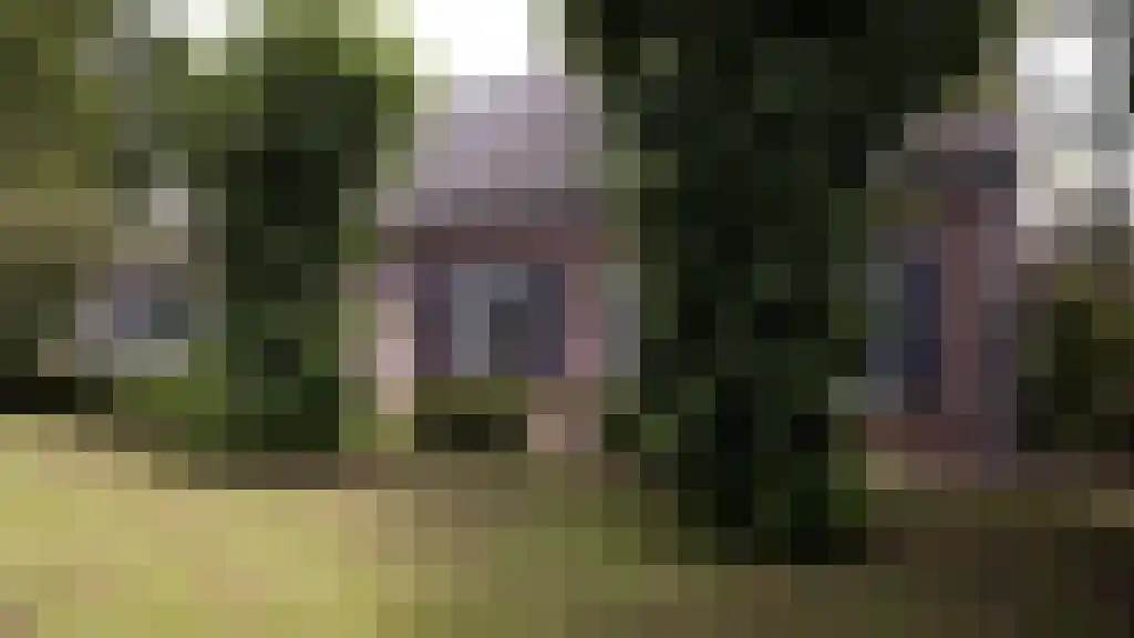 Beerseweg 5 Diessen thumbnail 6