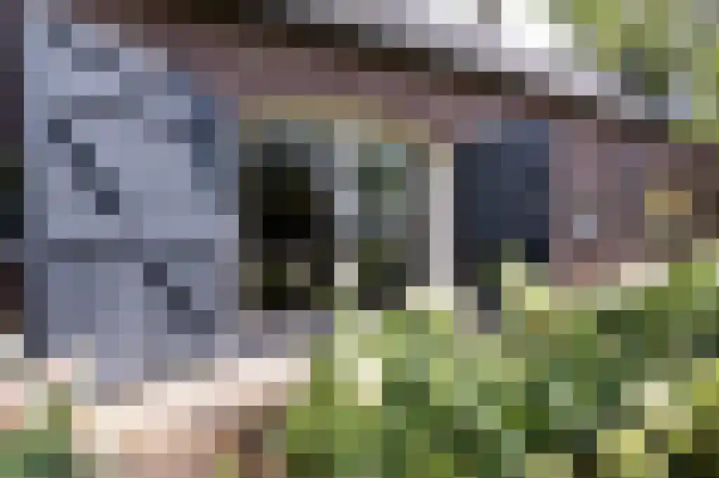 Beerseweg 5 Diessen thumbnail 7
