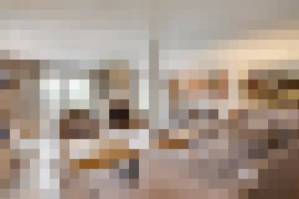 Beerseweg 5 Diessen thumbnail 8