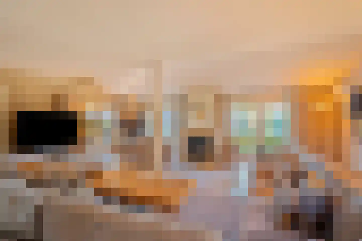 Beerseweg 5 Diessen thumbnail 8