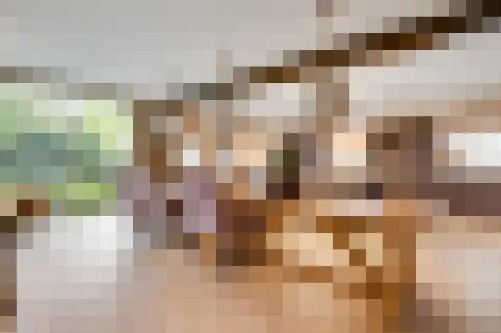 Beerseweg 5 Diessen thumbnail 9