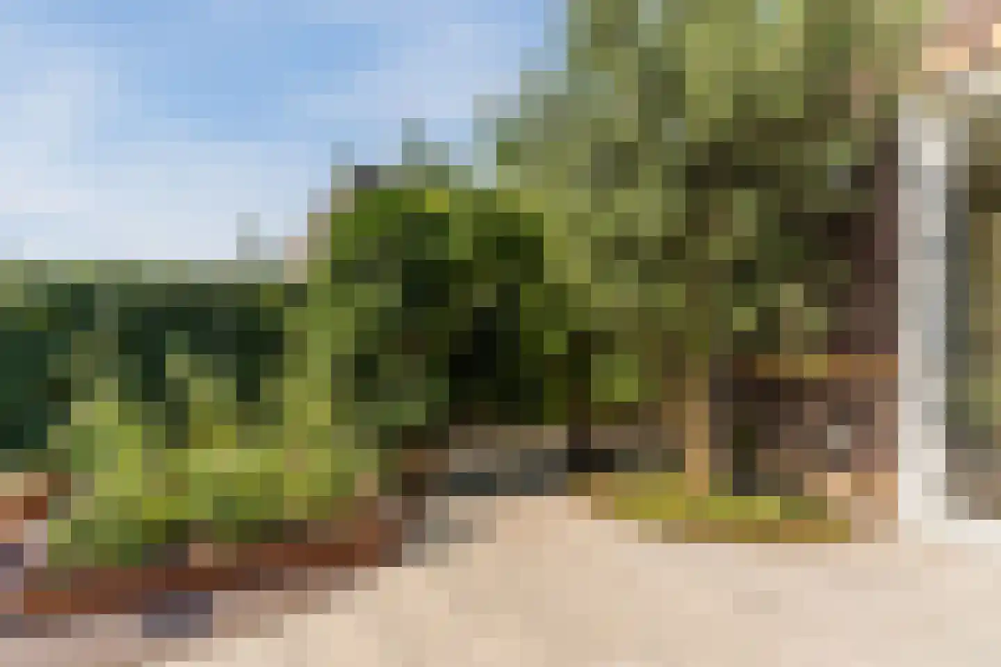 Beersluis 10 Culemborg thumbnail 42