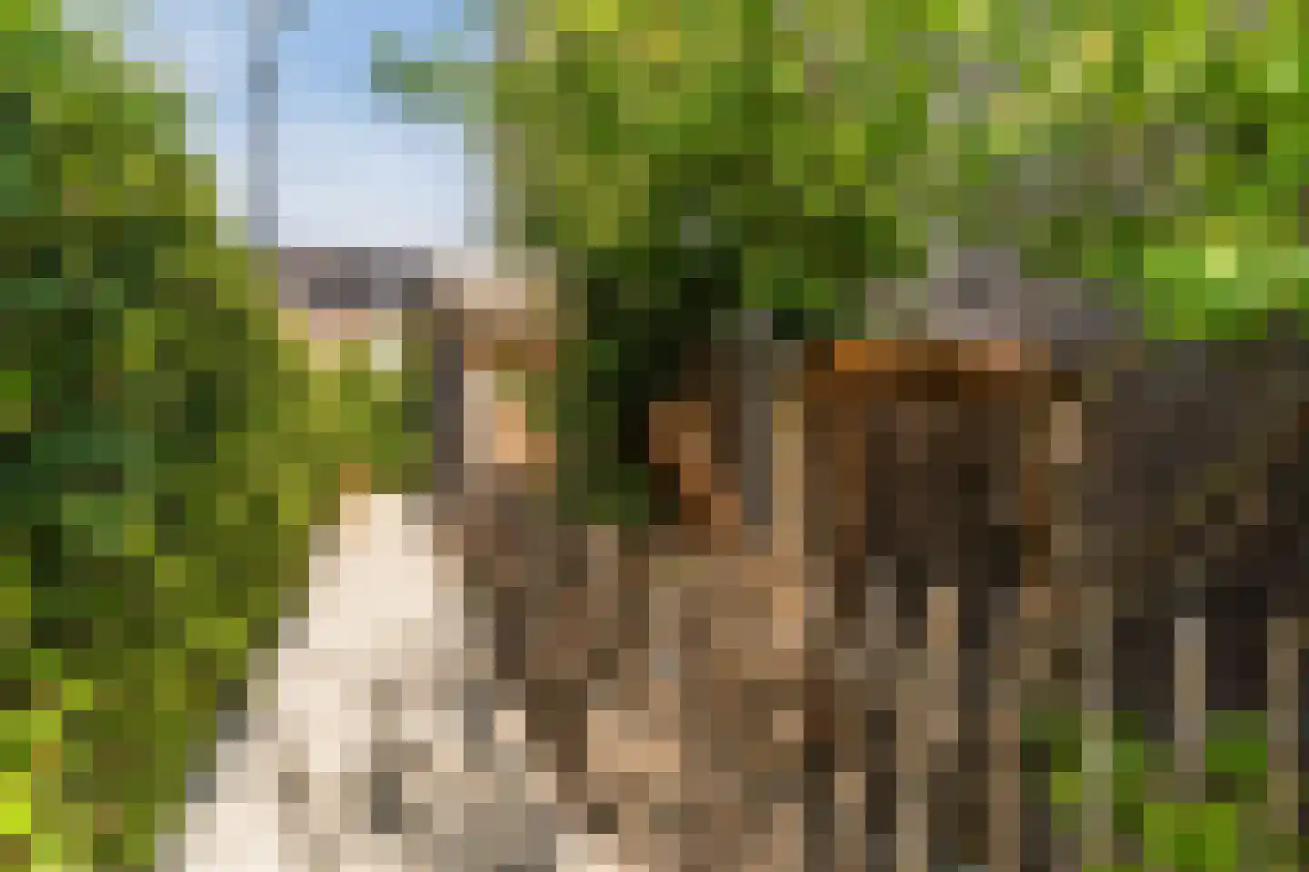 Beersluis 10 Culemborg thumbnail 43