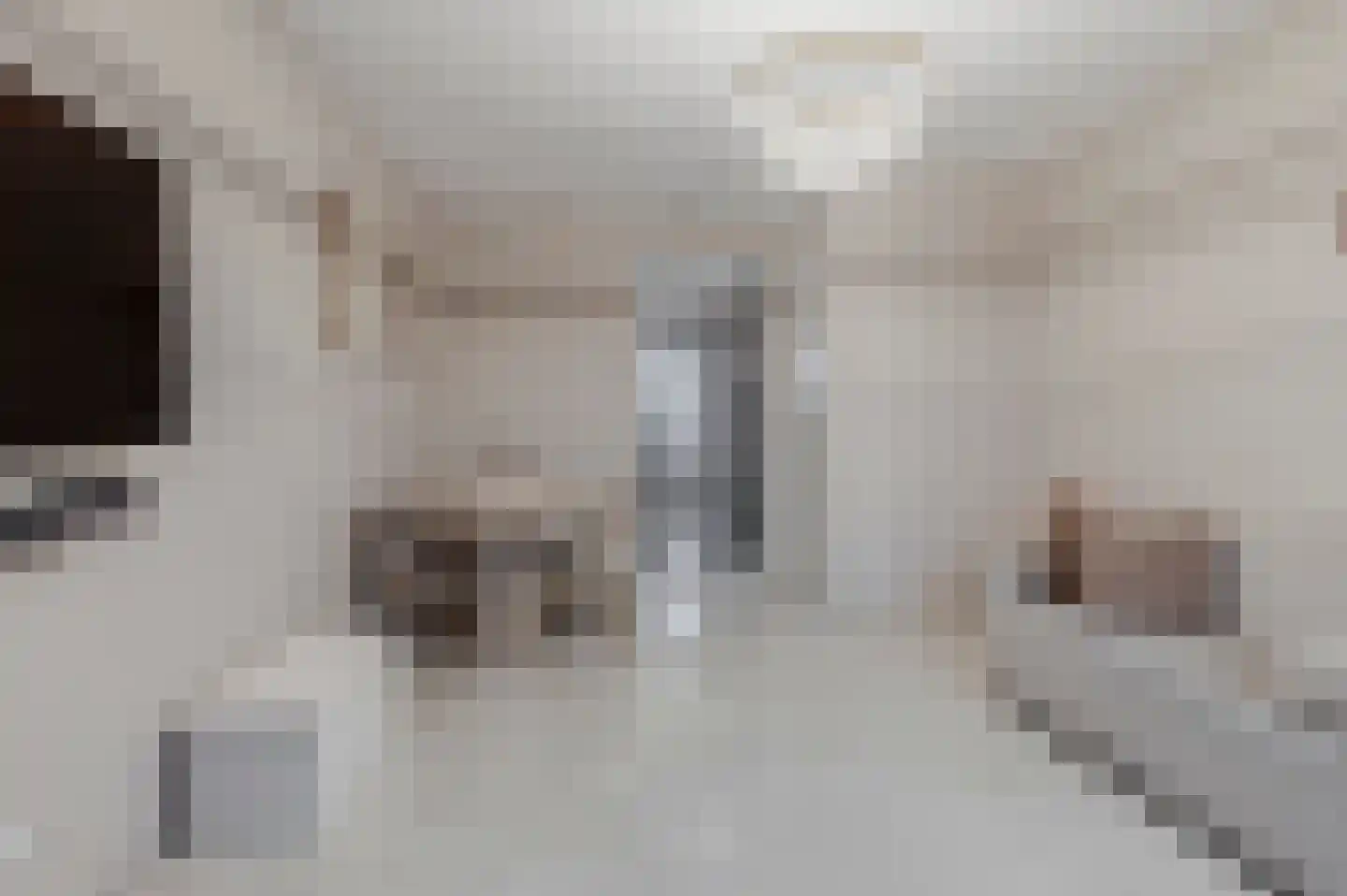 Beersluis 20 Culemborg thumbnail 11