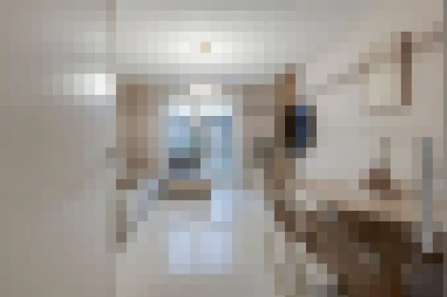 Beersluis 20 Culemborg thumbnail 9