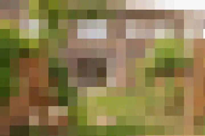 Beersluis 26 Culemborg thumbnail 13