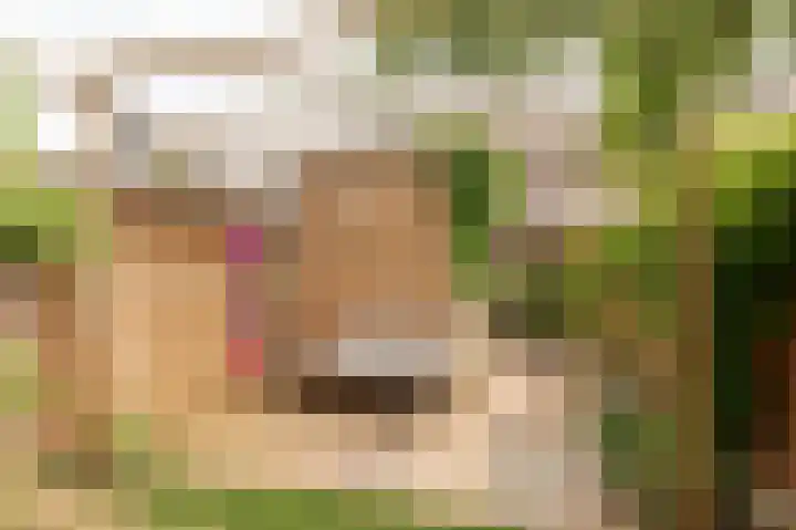 Beersluis 26 Culemborg thumbnail 15