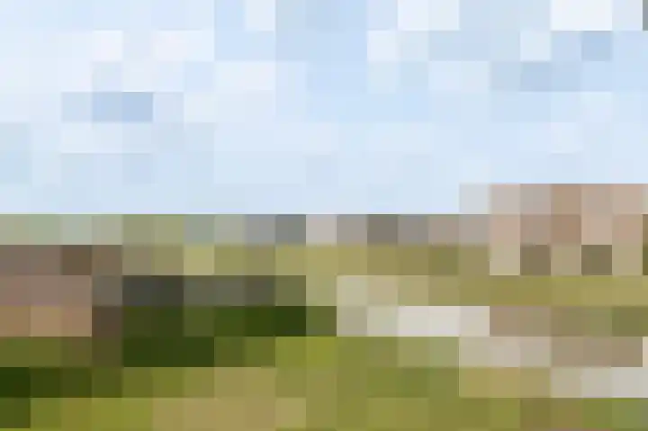 Beersluis 26 Culemborg thumbnail 16