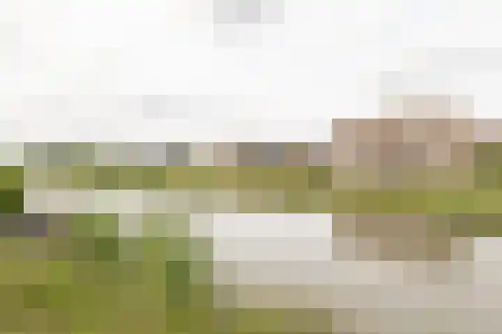 Beersluis 26 Culemborg thumbnail 34