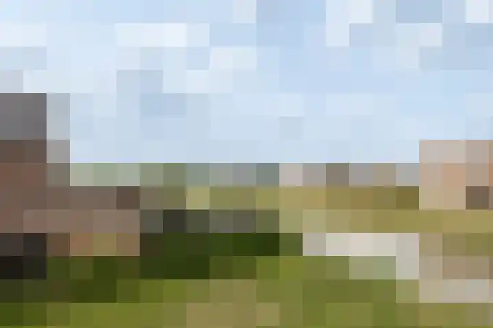 Beersluis 26 Culemborg thumbnail 35