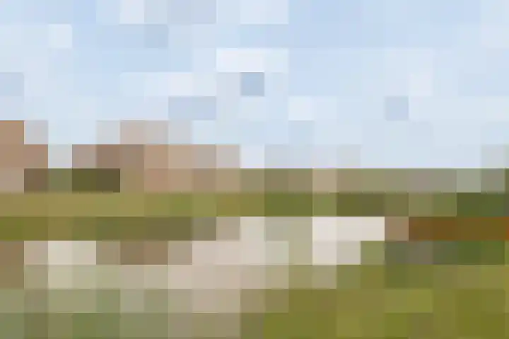 Beersluis 26 Culemborg thumbnail 36