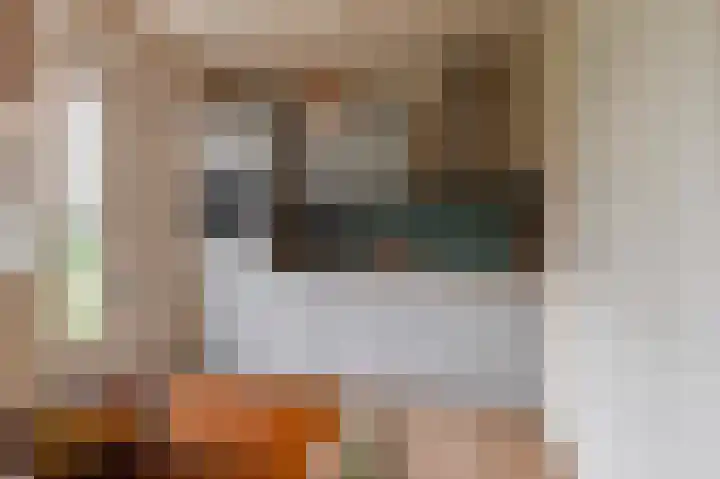 Beersluis 26 Culemborg thumbnail 4