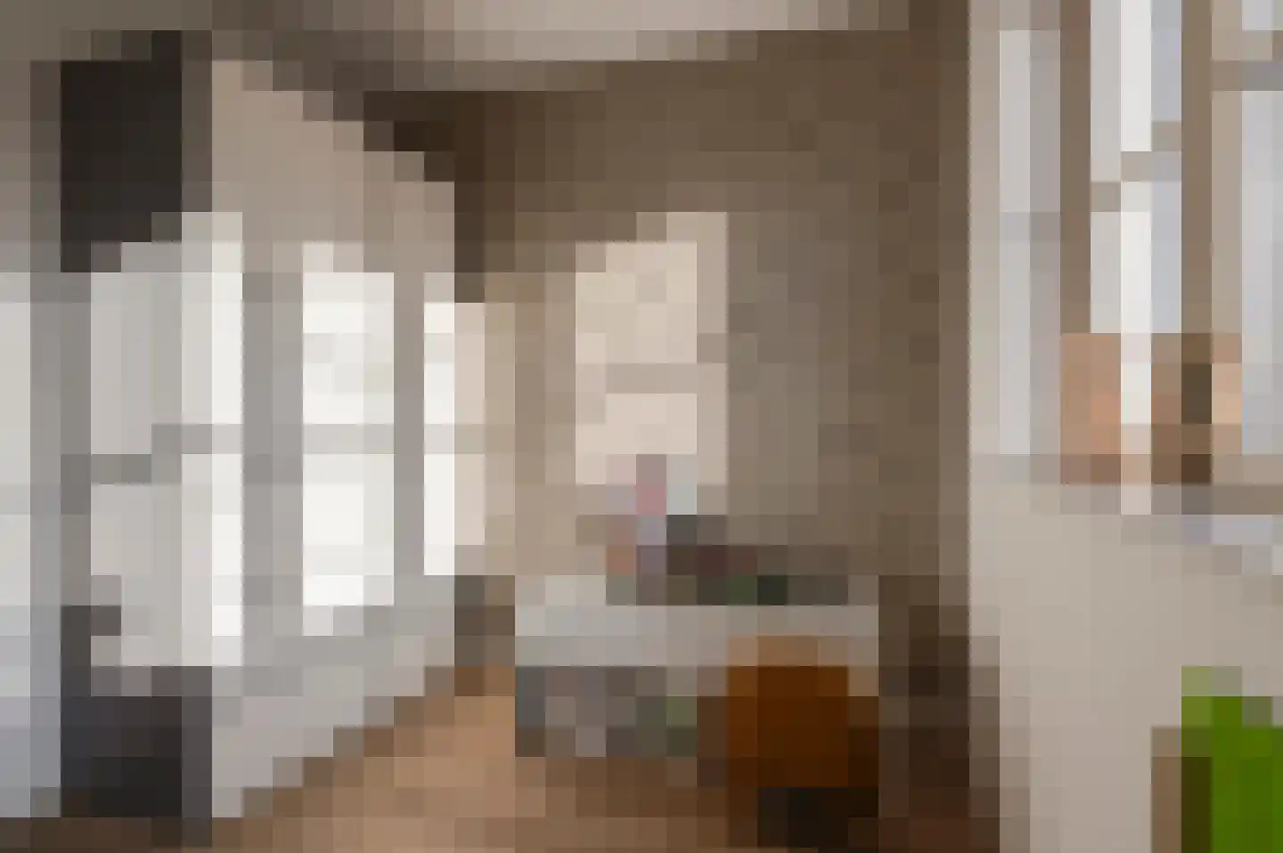 Beersluis 3 Culemborg thumbnail 22