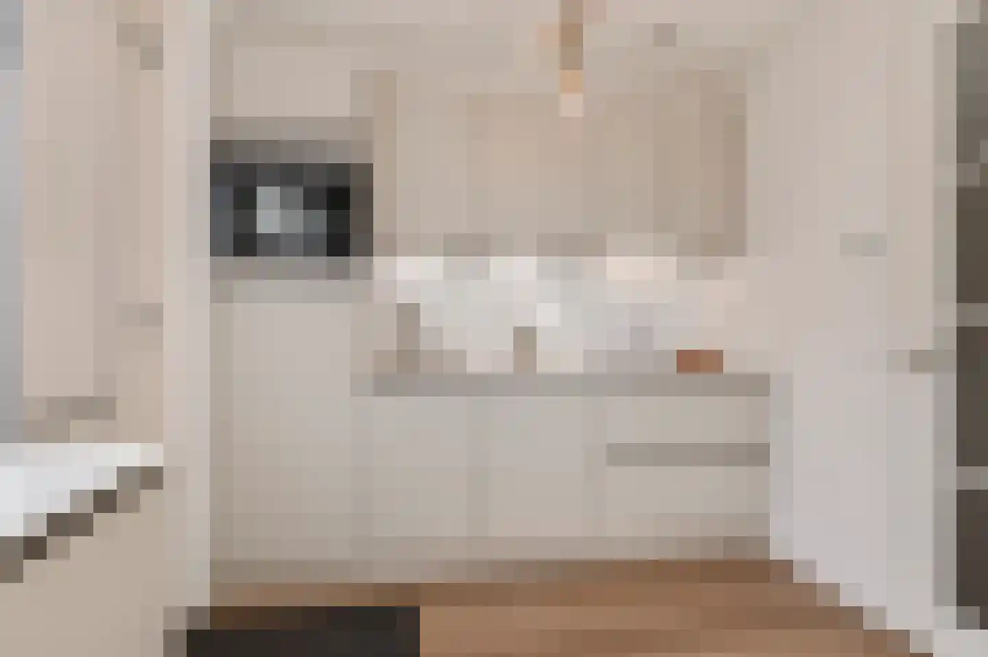 Beersluis 3 Culemborg thumbnail 4