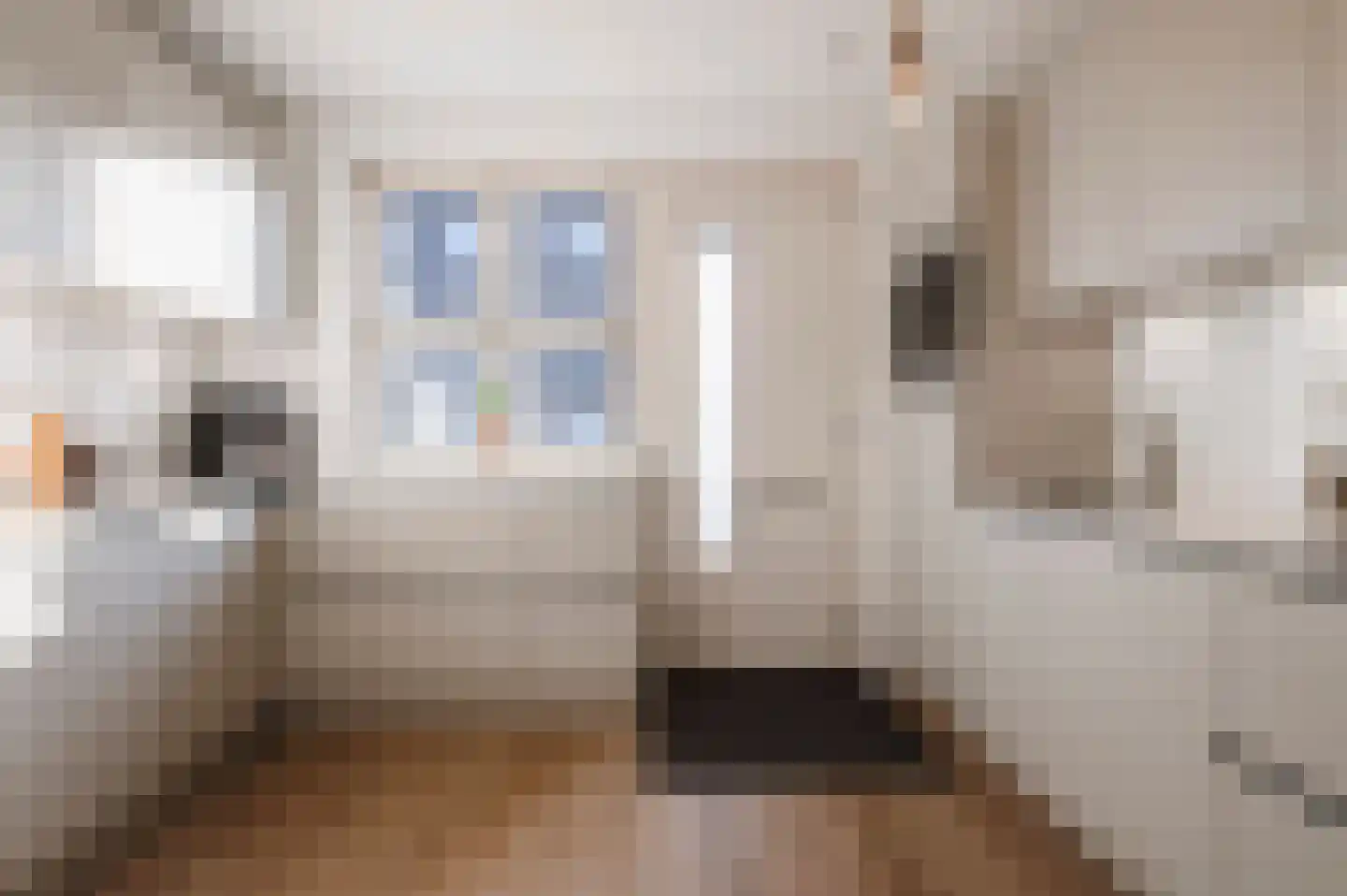 Beersluis 3 Culemborg thumbnail 6