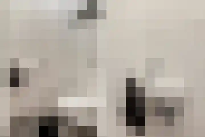 Beersluis 5 Culemborg thumbnail 13