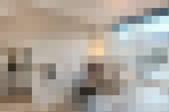 Beersluis 5 Culemborg thumbnail 14