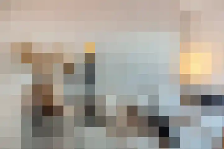 Beersluis 5 Culemborg thumbnail 15