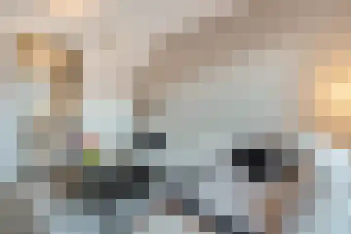 Beersluis 5 Culemborg thumbnail 16