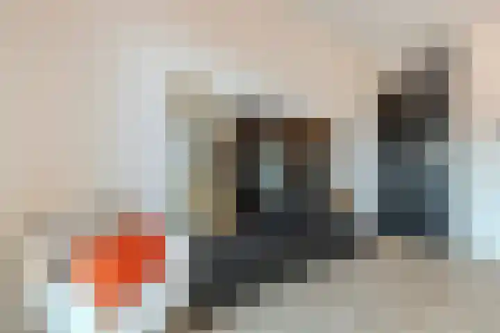 Beersluis 5 Culemborg thumbnail 17