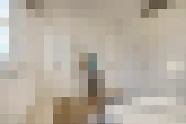 Beersluis 5 Culemborg thumbnail 18