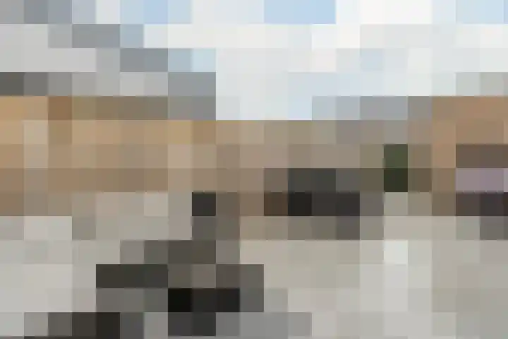Beersluis 5 Culemborg thumbnail 27