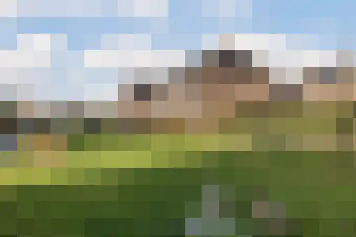 Beersluis 5 Culemborg thumbnail 29