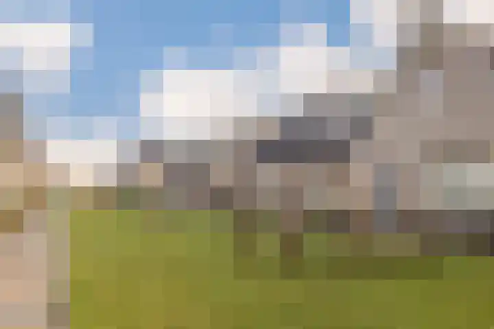 Beersluis 5 Culemborg thumbnail 30