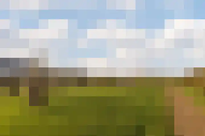 Beersluis 5 Culemborg thumbnail 31