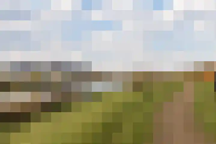 Beersluis 5 Culemborg thumbnail 32