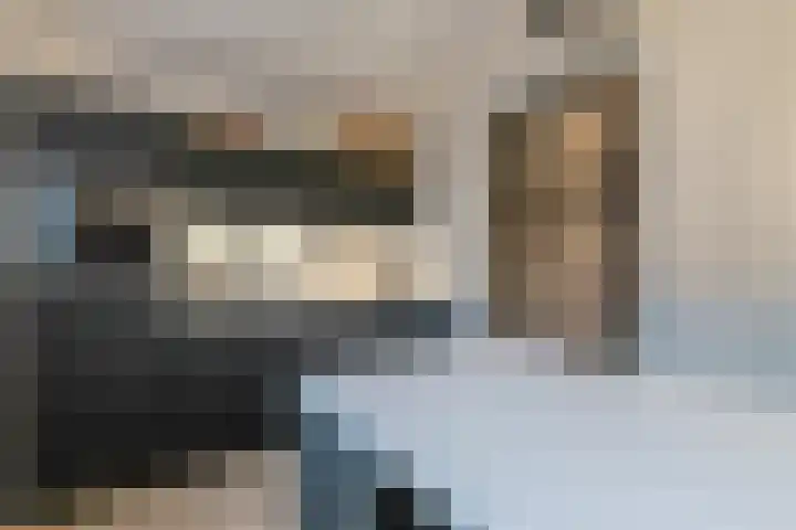 Beersluis 5 Culemborg thumbnail 6