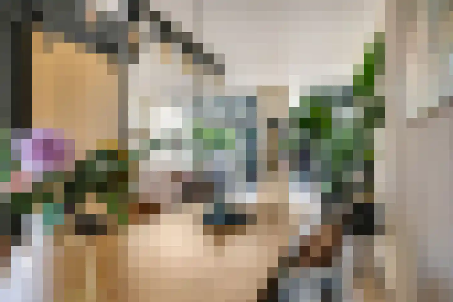 Beersstraat 42 Arnhem thumbnail 10