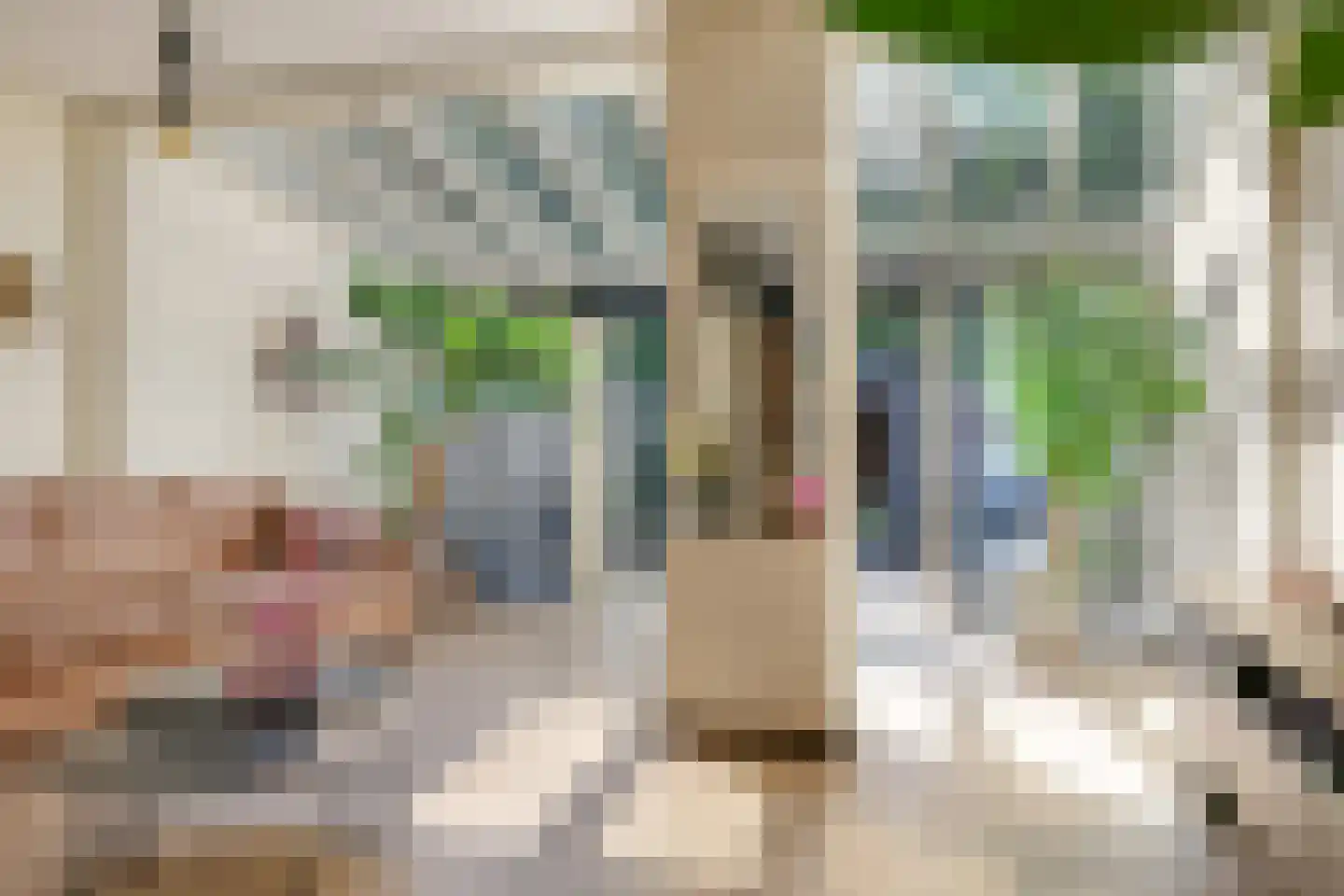Beersstraat 42 Arnhem thumbnail 13