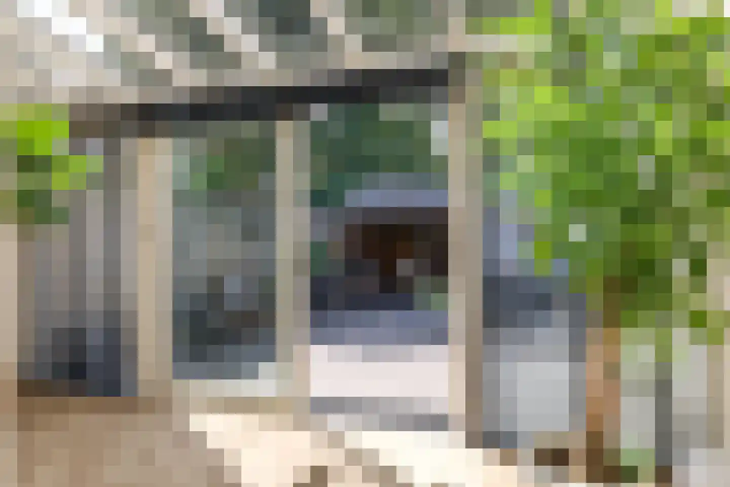Beersstraat 42 Arnhem thumbnail 14
