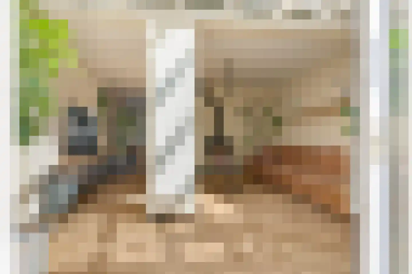 Beersstraat 42 Arnhem thumbnail 15